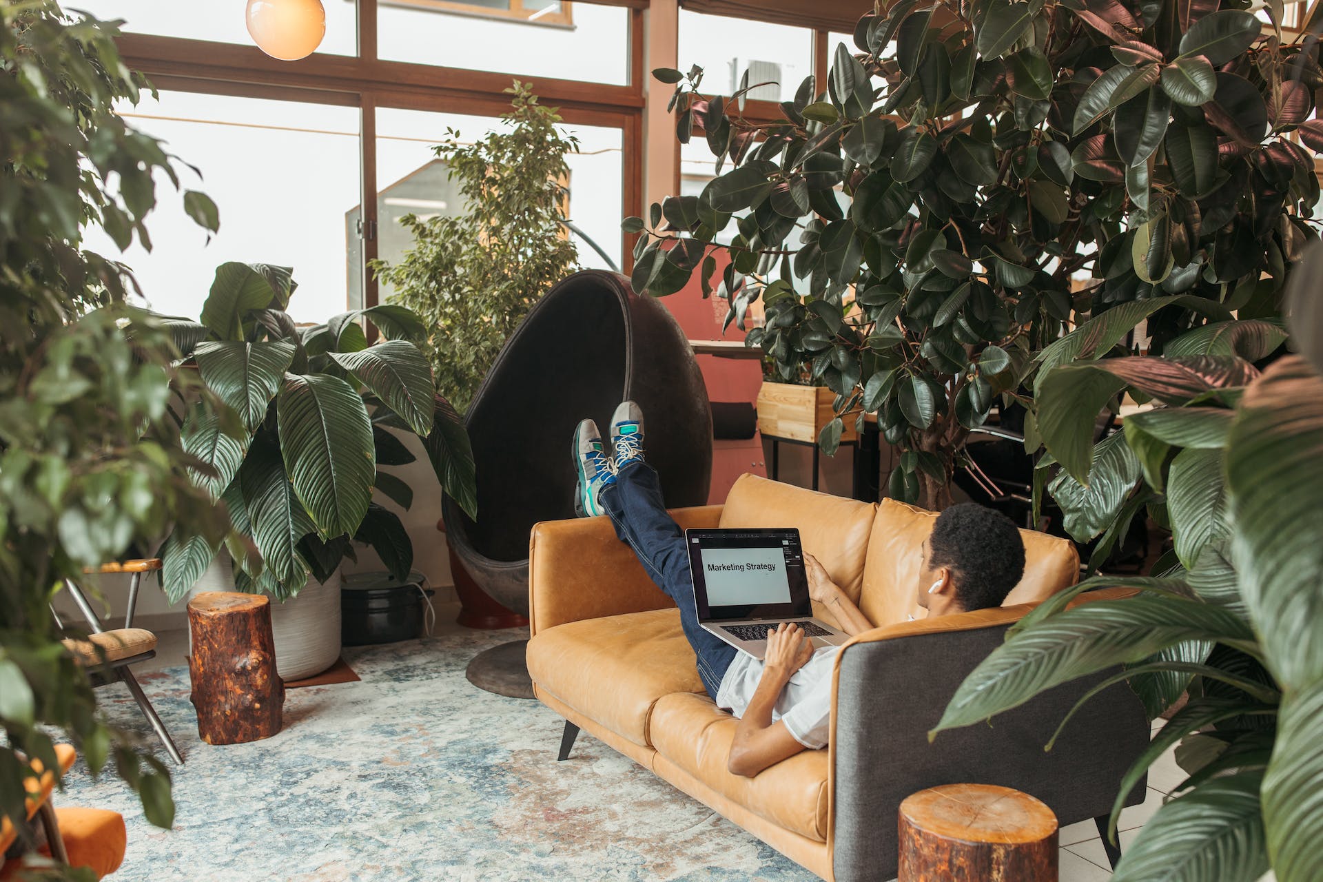 Person lounging on a tan couch in a sunlit room filled with lush green plants, intently reading a laptop screen displaying 'Marketing Strategy', embodying the concept 'Embrace the Process'.